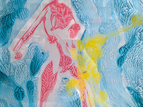 Sara Richter-Höhlich