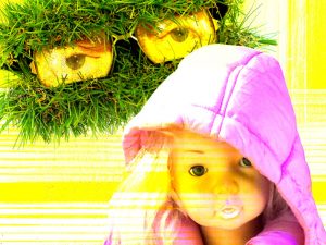 Mit den Augen des Mikado <br>Cornelia Kube-Druener, Karin Nedela, Barbara Storck-Brundrett